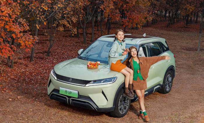 BYD's Debt Woes: Is 70% Debt Ratio Too High?